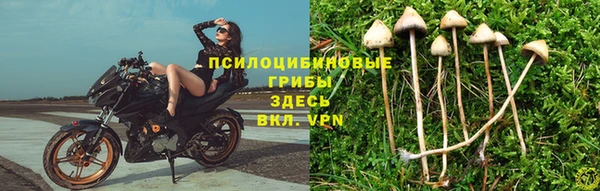 2c-b Медногорск